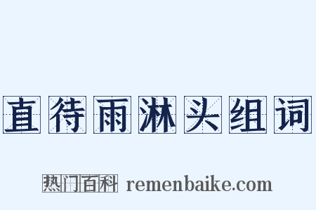 直待雨淋头组词是什么意思的图片